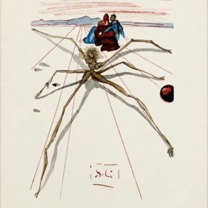 salvador-dali-bozhestvennaya-komediya-dante-litografiya-001 Покидая круг гнева (с подписью)