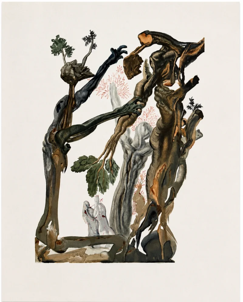 salvador-dali-divine-comedy-1960-lithograph-047 Лес самоубийц